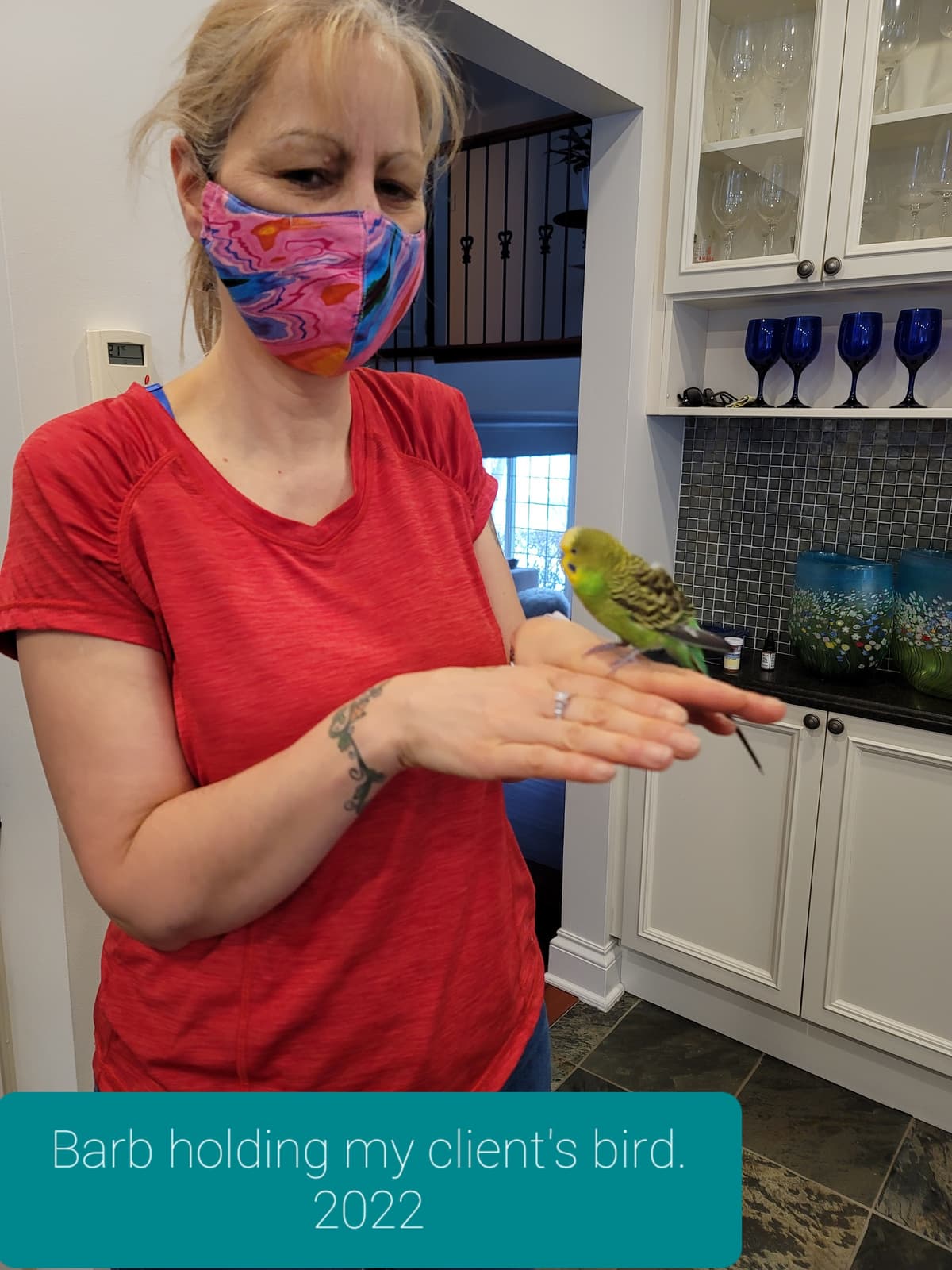 Barb holding a bird - pet-friendly cleaning services