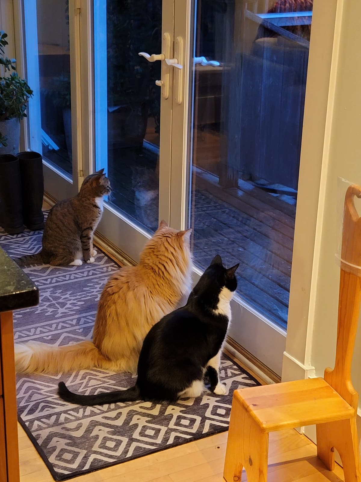 Spotless Halifax house cleaning services result