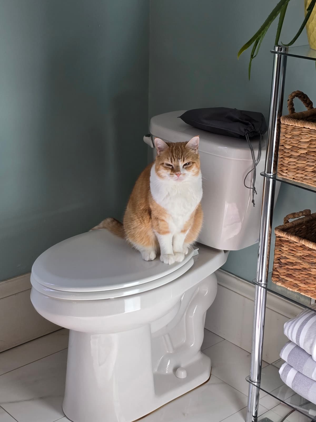 Halifax house cleaning services transformation result